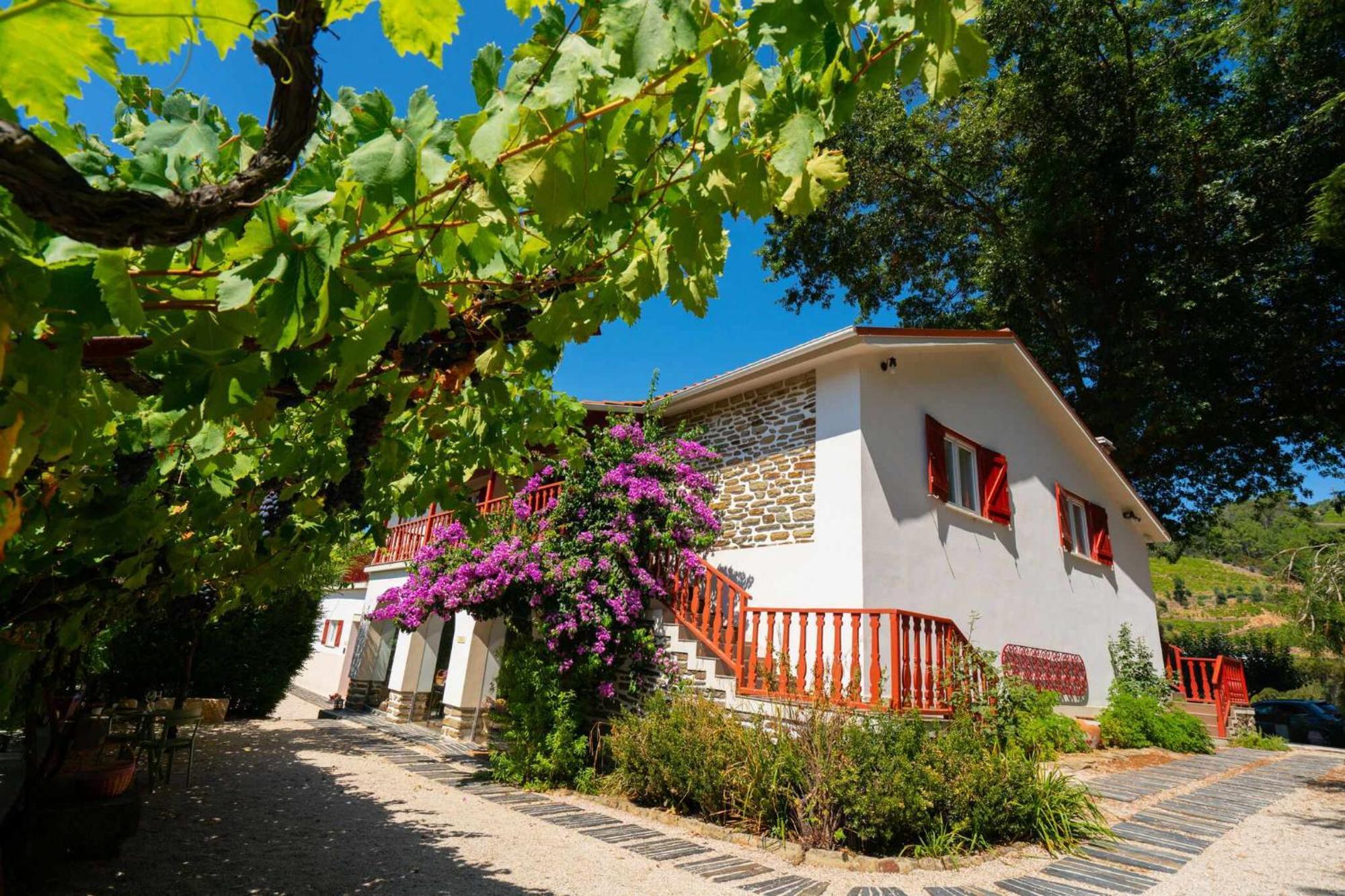 Quinta Da Pousada Casa De Campo Santa Marta de Penaguião Exteriör bild